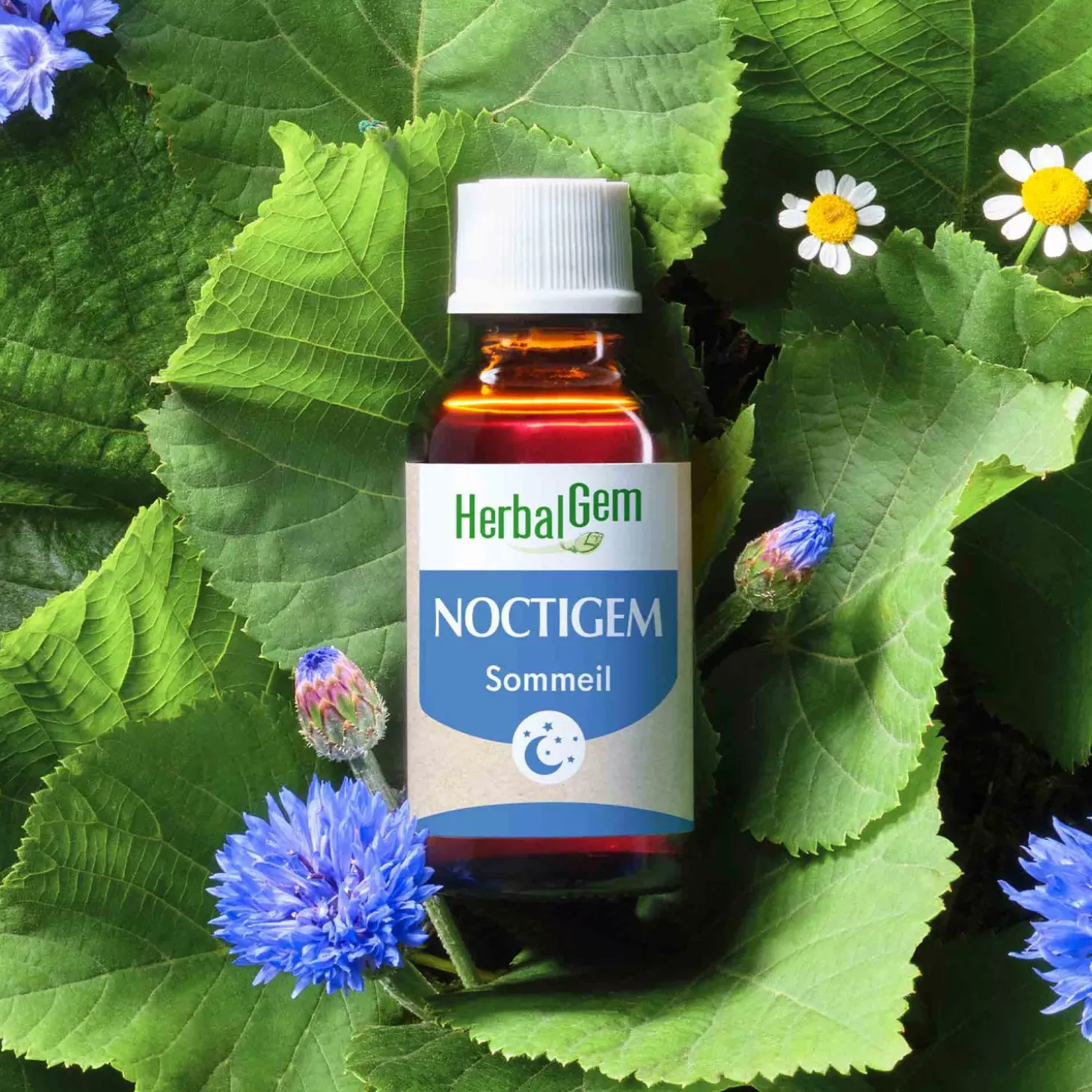 Solution buvable Sommeil – Aux Macérats de bourgeons concentrés