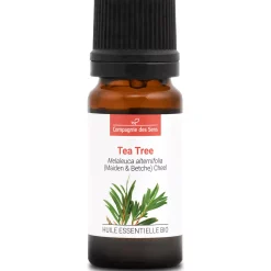 Tea tree (Melaleuca alternifolia)