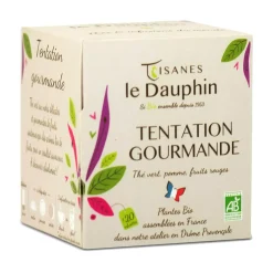 Tentation Gourmande Thé Vert Pomme Fruits Rouges bio en sachets