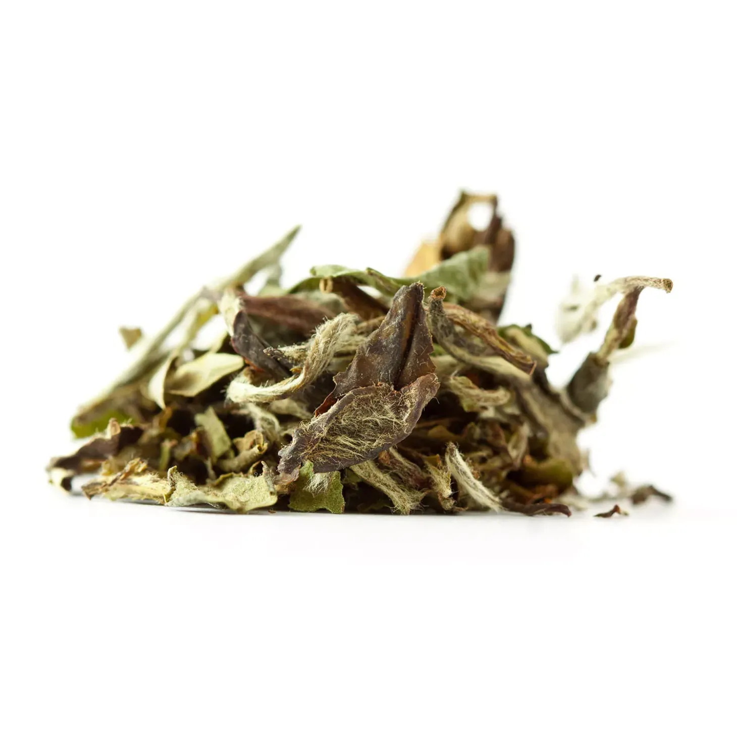 Thé Blanc bio Bai Mu Dan Premium