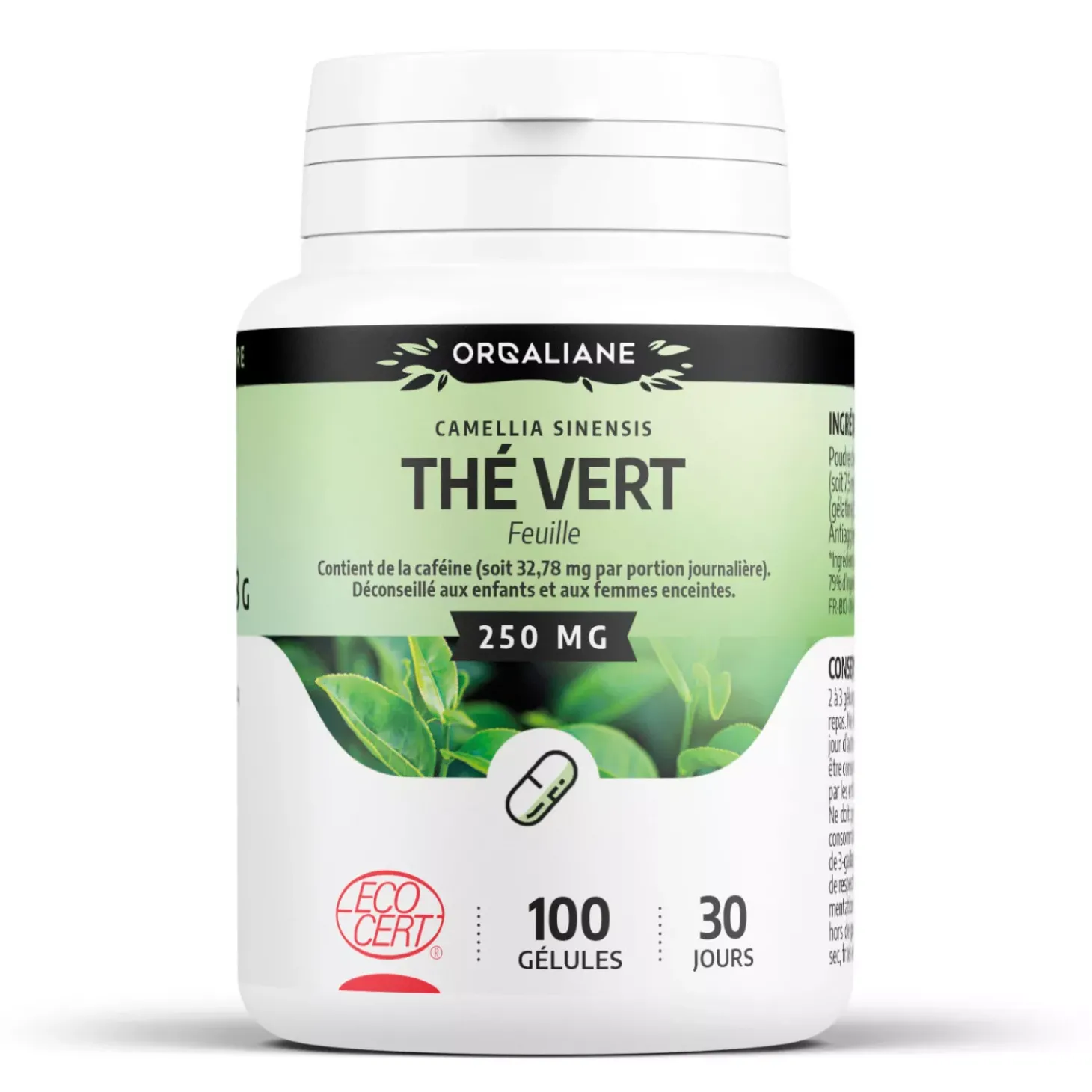 Thé Vert bio