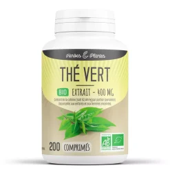 Thé Vert bio (extrait aqueux)