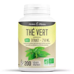 Thé Vert bio (extrait aqueux)