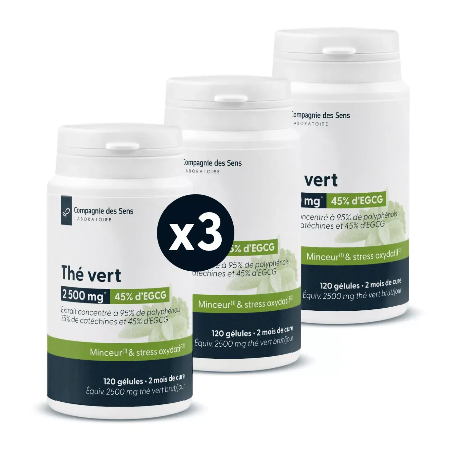 Thé Vert concentré