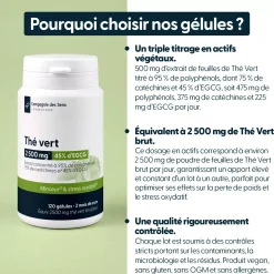 Thé Vert concentré