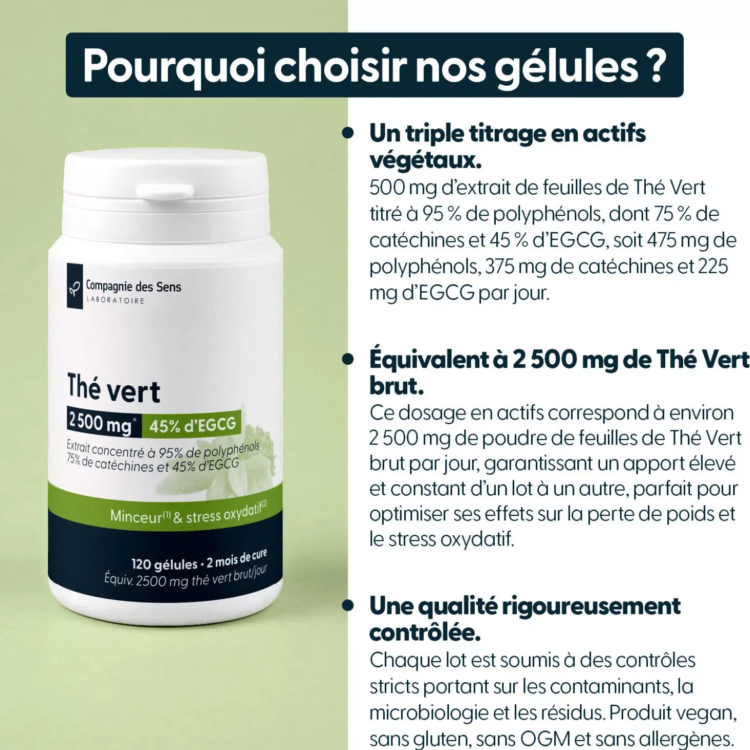 Thé Vert concentré