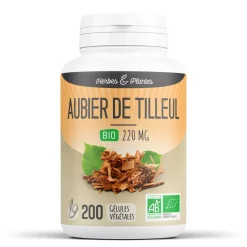 Tilleul bio (aubier)