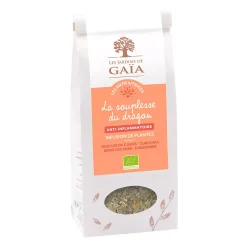 Tisane bio Curcuma, Cassis & Gingembre – Confort Articulaire & Anti-inflammatoire