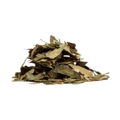 Tisane bio Ginkgo Biloba