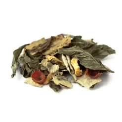 Tisane bio Menthe poivrée, Mûrier, Eglantier & Pomme