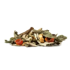Tisane bio Menthe poivrée, Mûrier, Eglantier & Pomme