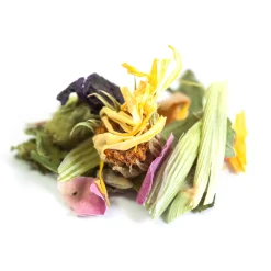 Tisane bio Pomme, Mélisse, Rose & Souci