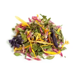Tisane Bio Thym, Sureau & Menthe poivrée