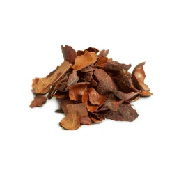 Tisane Écorces de Cacao bio – Origine Pérou