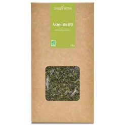 Tisane d’Alchémille bio (Alchemilla Vulgaris) – Parties aériennes coupées en vrac pour infusion