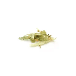 Tisane de Bractées de Tilleul bio (Tilia Platyphyllos) – Feuilles entières en vrac pour infusion