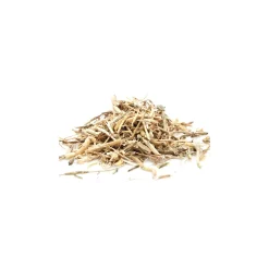 Tisane de Chiendent bio (Elymus Repens) – Racines coupées en vrac pour infusion