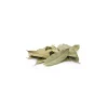 Tisane de Laurier bio (Laurus Nobilis) – Feuilles entières en vrac pour infusion