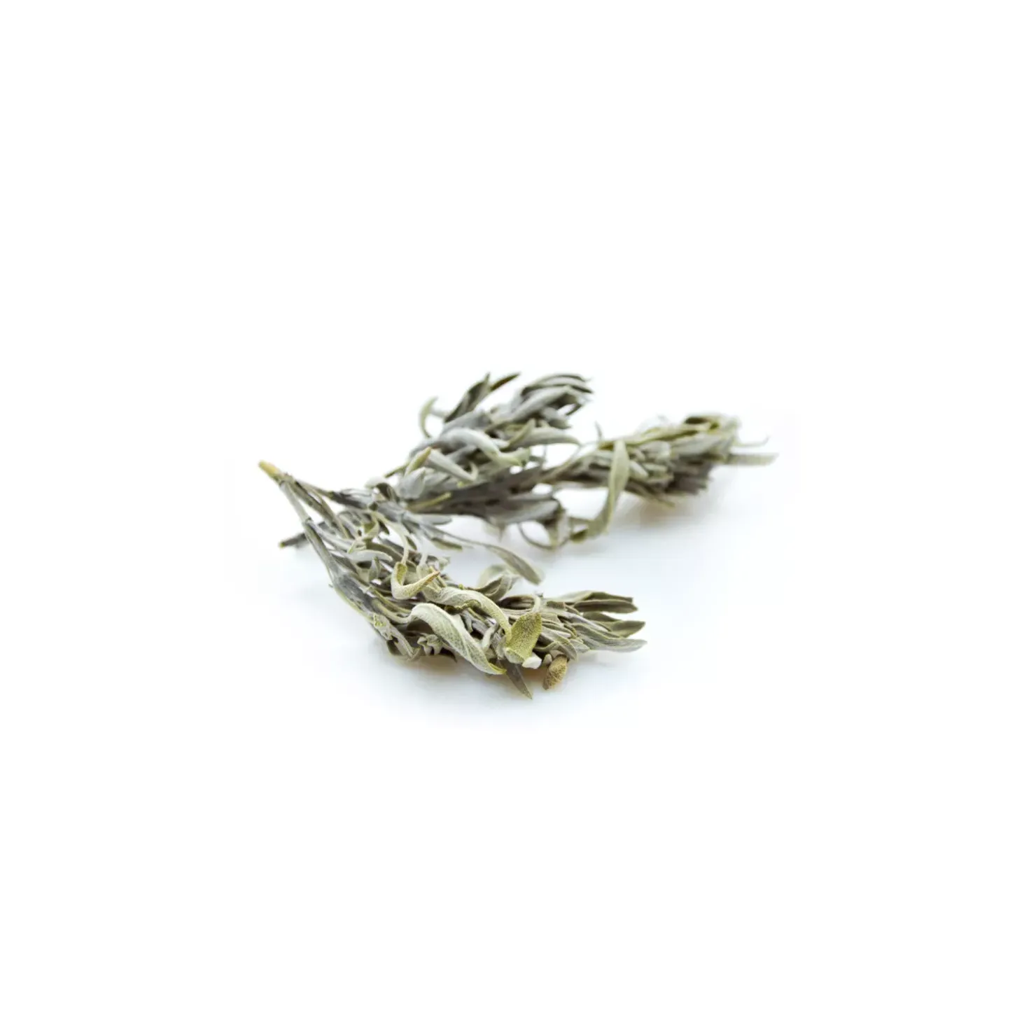 Tisane de Sauge Officinale bio (Salvia Officinalis) – Feuilles entières en vrac pour infusion