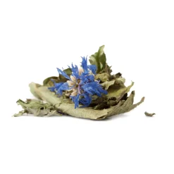 Tisane du Jeûne bio