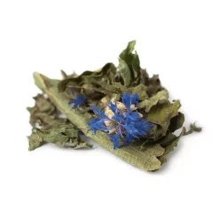 Tisane du Jeûne bio