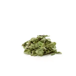 Tisane Feuilles de Moringa bio – Vitalité & Bien-Être