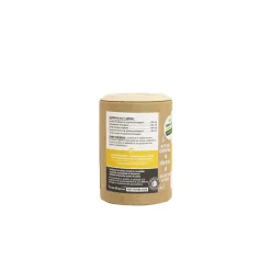 Tonus Ginseng Guarana Bio