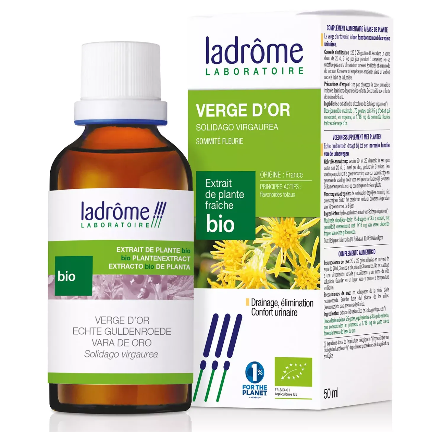 Verge d’Or bio (Solidage) – Solidago Virgaurea – Extrait hydroalcoolique concentré