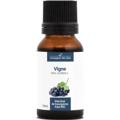 Vigne bio (Vitis Vinifera) – Macérat concentré de bourgeons frais