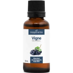 Vigne bio (Vitis Vinifera) – Macérat concentré de bourgeons frais