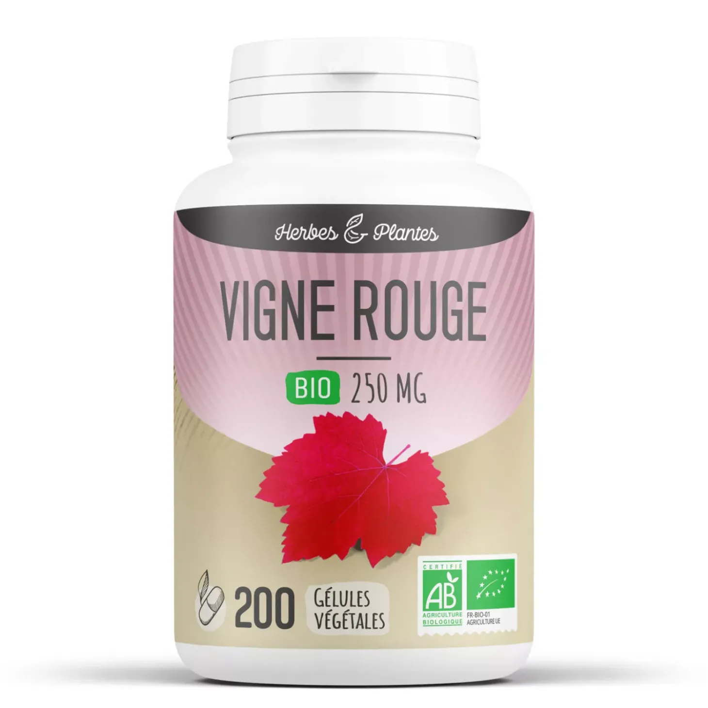 Vigne Rouge bio