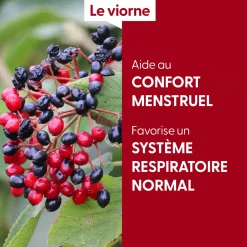 Viorne bio (Viburnum Lantana) – Macérat concentré de bourgeons frais