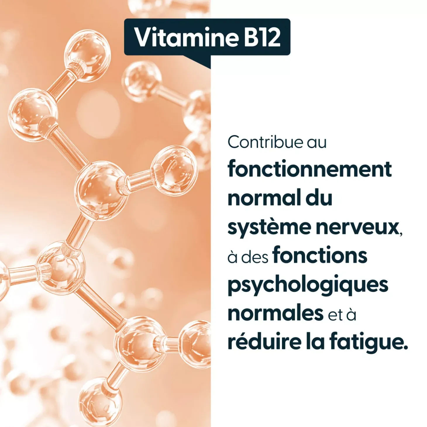 Vitamine B12 Végan