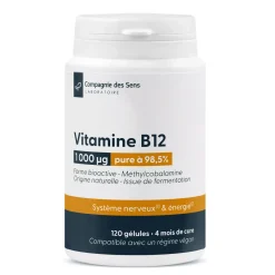 Vitamine B12 Végan