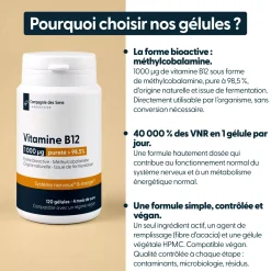 Vitamine B12 Végan