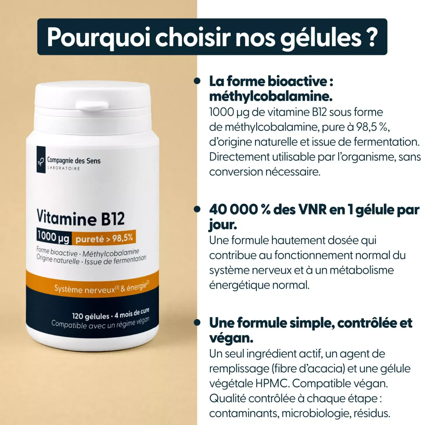 Vitamine B12 Végan