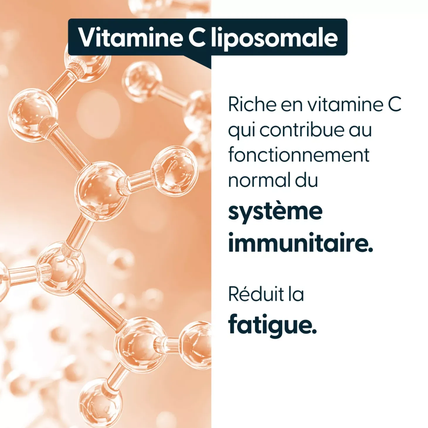 Vitamine C liposomale DuraLipo™ 500 mg